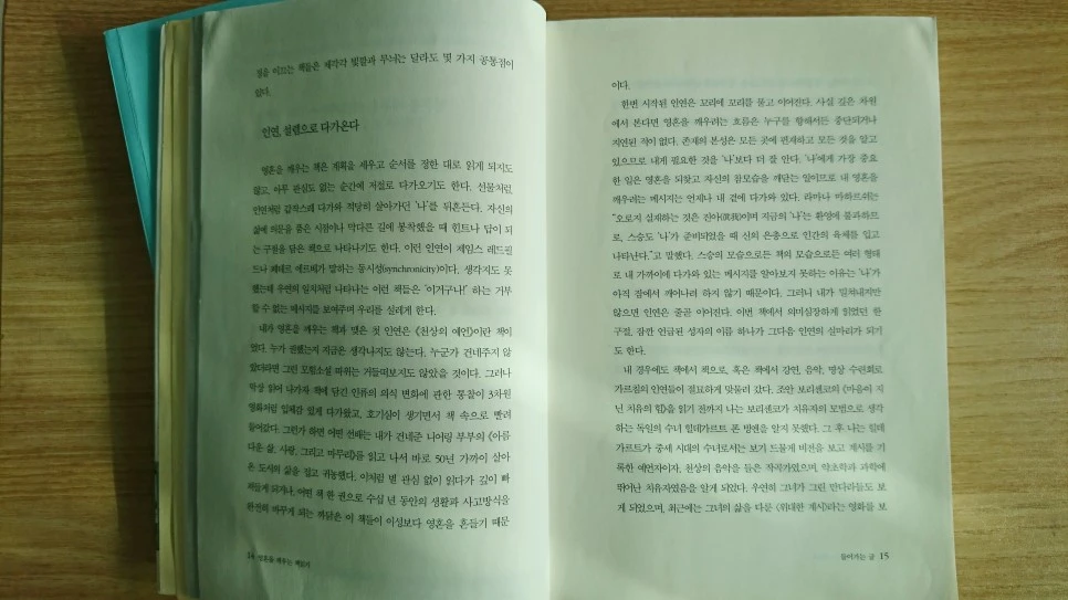 DSC_0344-1.JPG?type=w966