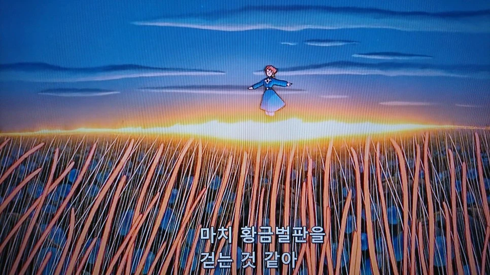 DSC_0705.JPG?type=w966