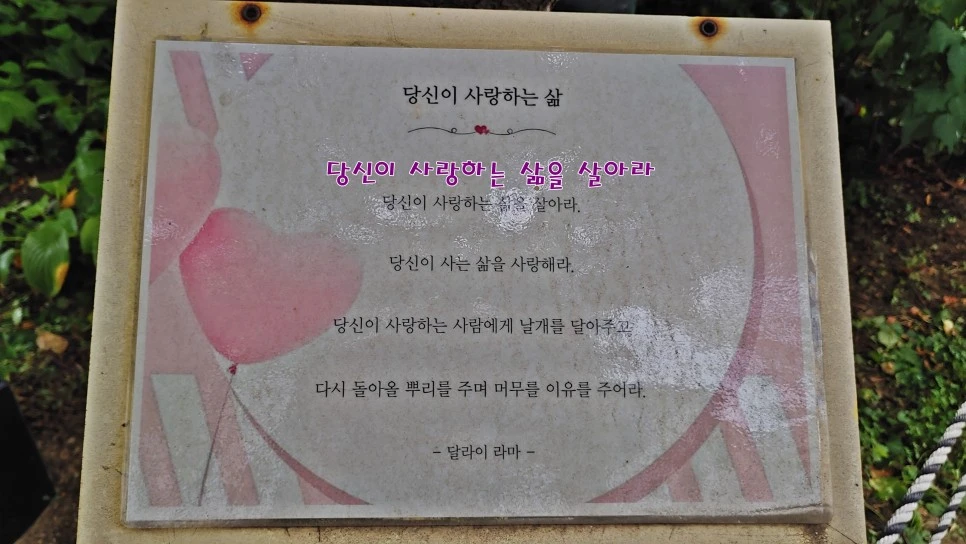 20210729_142647_-_%EB%B3%B5%EC%82%AC%EB%B3%B8.jpg?type=w966