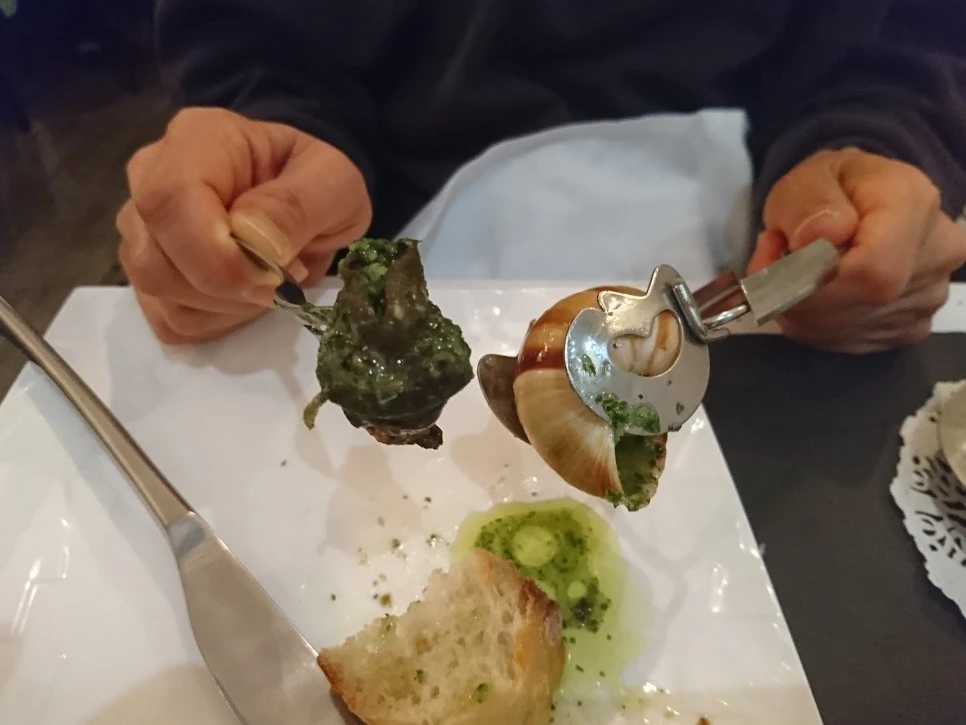 DSC_0530.JPG?type=w966