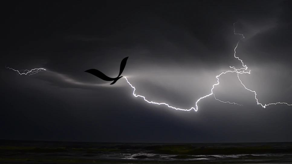 thunderbolt-1905603_1280.png?type=w966