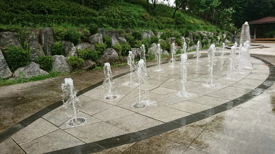 DSC_0011.JPG?type=w966