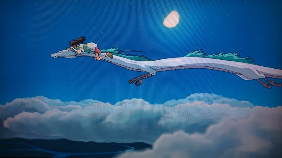 DSC_0048.JPG?type=w966