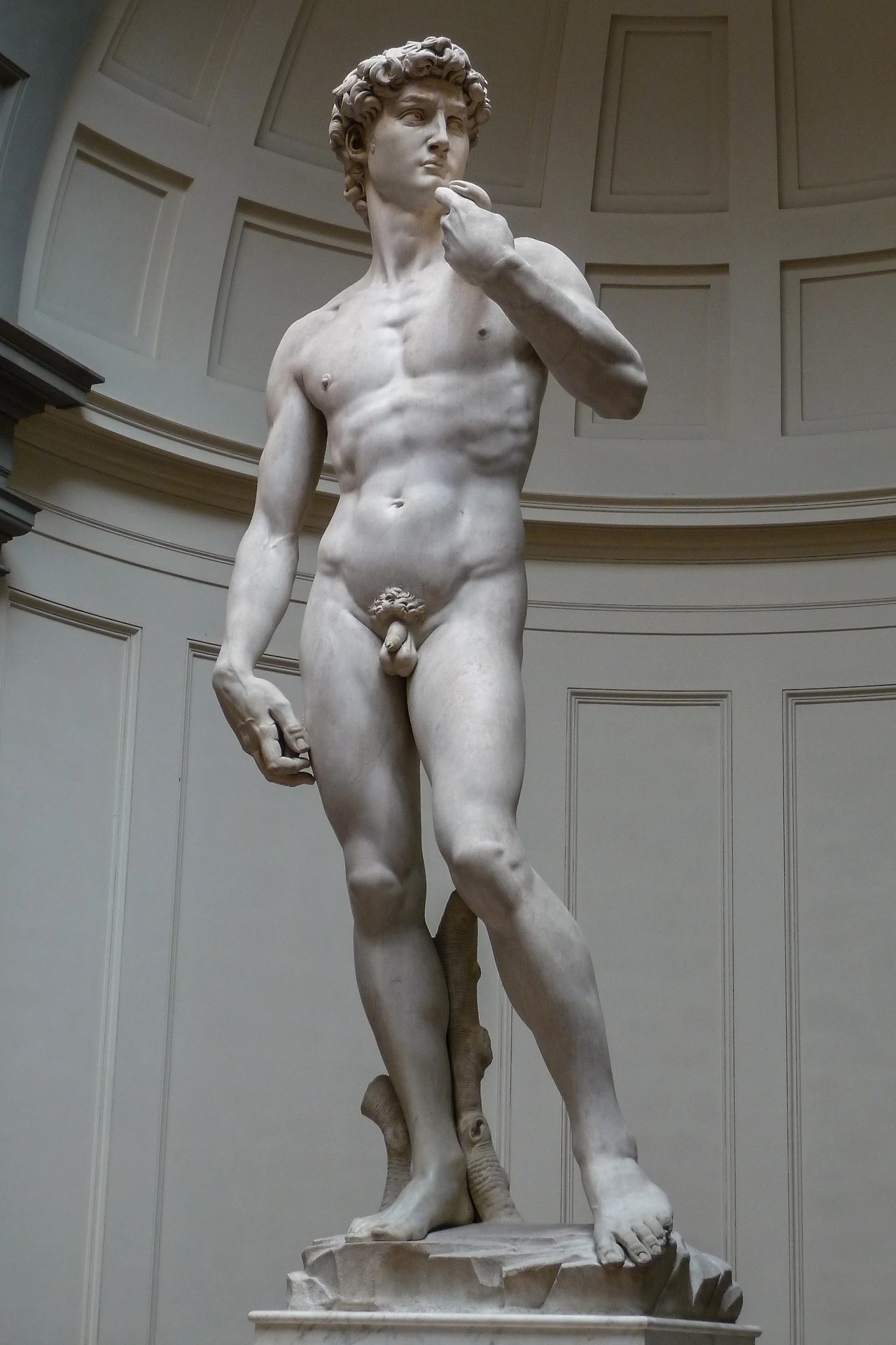 'David'_by_Michelangelo_JBU05.jfif