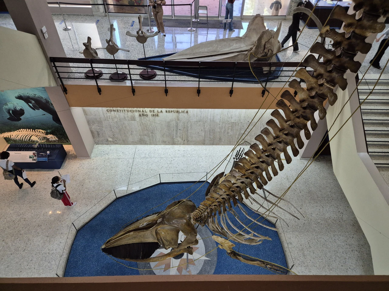 1280?signature=KBNoHMgUK6vfyaIajYqss8v8IObbKY2LR_eDRbY0UEgf3uflEjaiLAi-jRUkN9X8b6cky70x-Nd7GgExplU2GPv6HB7uNuMv_pda7KKMxZiNgabZN6tbuOQvJsl3Qn9cAwtn9gRQEt6uxuH0iudenw&storageType=file