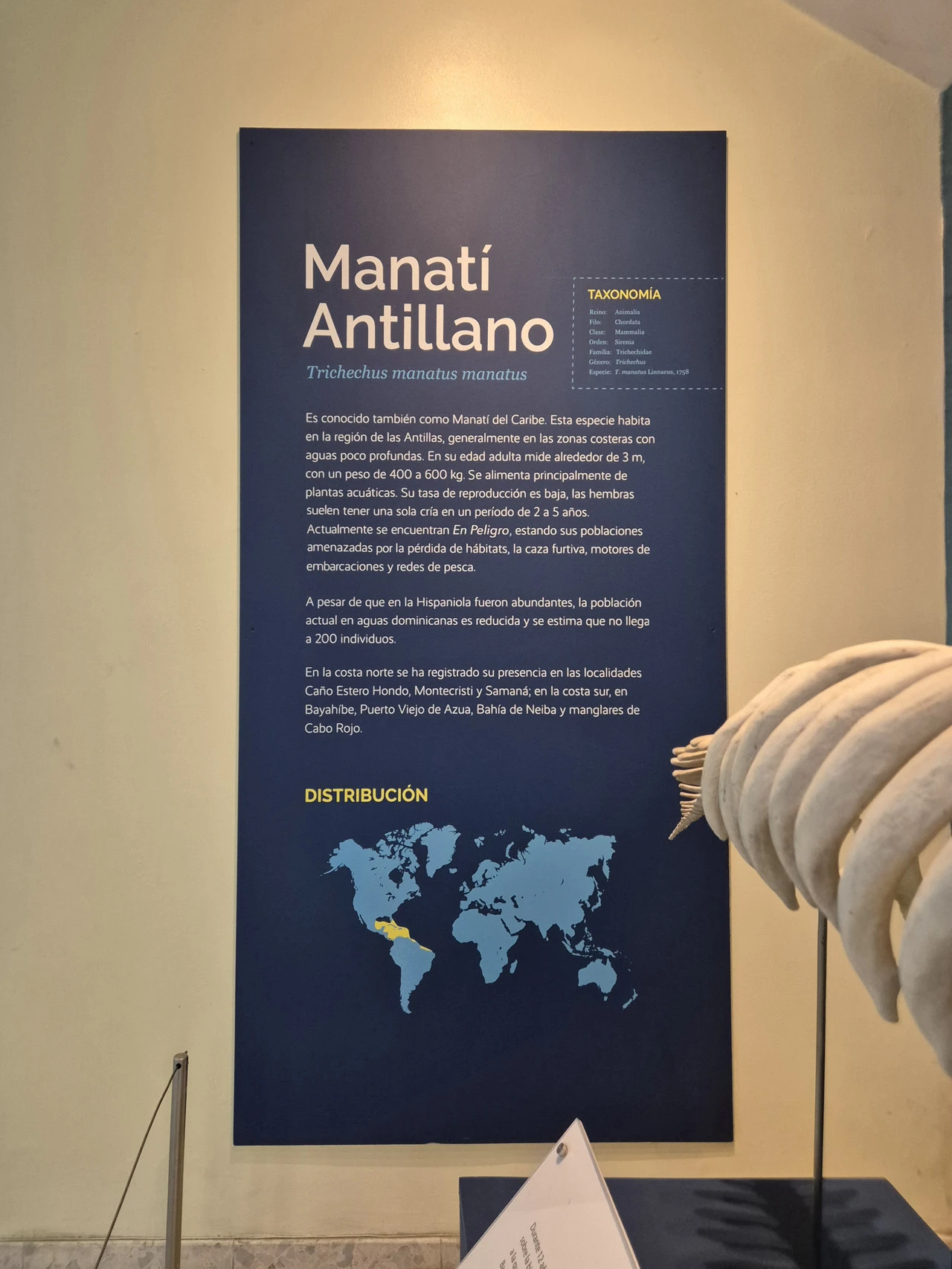 1280?signature=KBNoHMgUK6vfyaIajYqss8v8IObbKY2LR_eDRbY0UEgf3uflEjaiLAi-jRUkN9X8b6cky70x-Nd7GgExplU2GPv6HB7uNuMv_pda7KKMxZiNgabZN6tbuOQvJsl3Qn9cAwtn9gRQEt6uxuH0iudenw&storageType=file