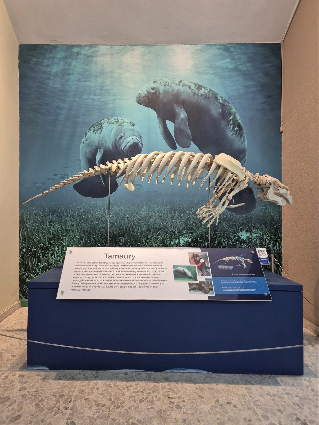 1280?signature=KBNoHMgUK6vfyaIajYqss8v8IObbKY2LR_eDRbY0UEgf3uflEjaiLAi-jRUkN9X8b6cky70x-Nd7GgExplU2GPv6HB7uNuMv_pda7KKMxZiNgabZN6tbuOQvJsl3Qn9cAwtn9gRQEt6uxuH0iudenw&storageType=file