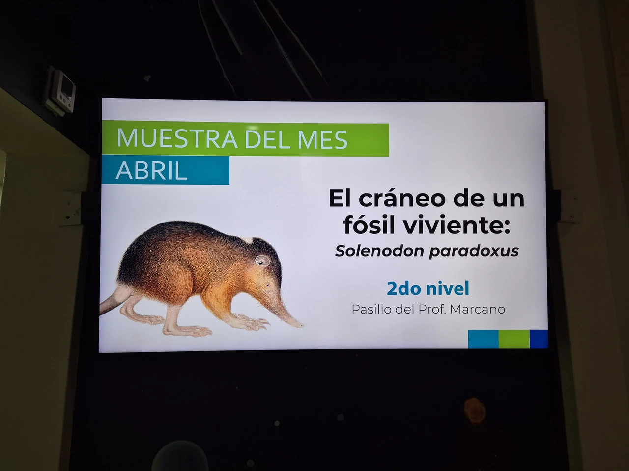 1280?signature=KBNoHMgUK6vfyaIajYqss8v8IObbKY2LR_eDRbY0UEgf3uflEjaiLAi-jRUkN9X8b6cky70x-Nd7GgExplU2GPv6HB7uNuMv_pda7KKMxZiNgabZN6tbuOQvJsl3Qn9cAwtn9gRQEt6uxuH0iudenw&storageType=file