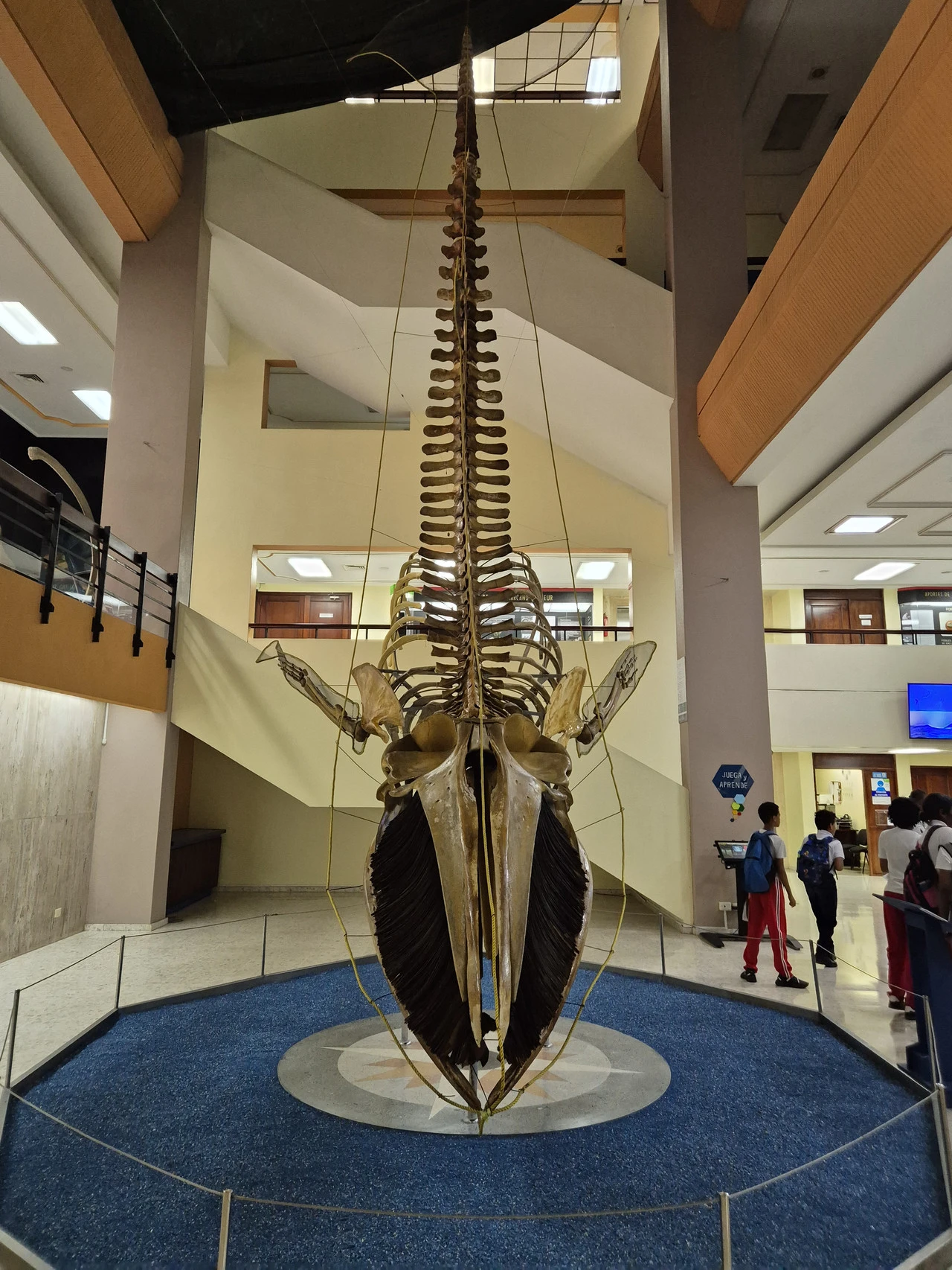 1280?signature=KBNoHMgUK6vfyaIajYqss8v8IObbKY2LR_eDRbY0UEgf3uflEjaiLAi-jRUkN9X8b6cky70x-Nd7GgExplU2GPv6HB7uNuMv_pda7KKMxZiNgabZN6tbuOQvJsl3Qn9cAwtn9gRQEt6uxuH0iudenw&storageType=file