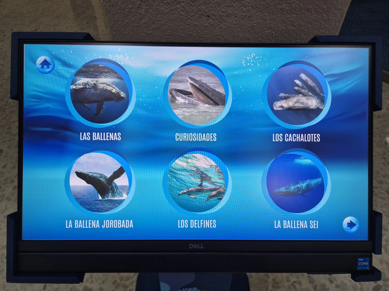 1280?signature=KBNoHMgUK6vfyaIajYqss8v8IObbKY2LR_eDRbY0UEgf3uflEjaiLAi-jRUkN9X8b6cky70x-Nd7GgExplU2GPv6HB7uNuMv_pda7KKMxZiNgabZN6tbuOQvJsl3Qn9cAwtn9gRQEt6uxuH0iudenw&storageType=file