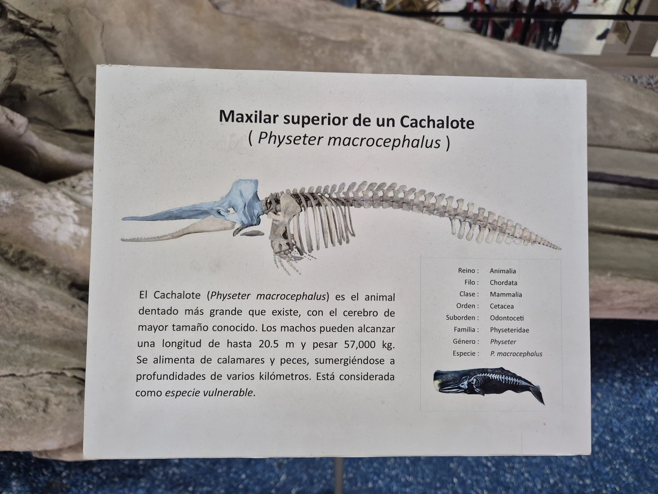 1280?signature=KBNoHMgUK6vfyaIajYqss8v8IObbKY2LR_eDRbY0UEgf3uflEjaiLAi-jRUkN9X8b6cky70x-Nd7GgExplU2GPv6HB7uNuMv_pda7KKMxZiNgabZN6tbuOQvJsl3Qn9cAwtn9gRQEt6uxuH0iudenw&storageType=file