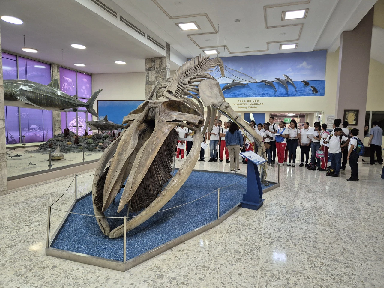 1280?signature=KBNoHMgUK6vfyaIajYqss8v8IObbKY2LR_eDRbY0UEgf3uflEjaiLAi-jRUkN9X8b6cky70x-Nd7GgExplU2GPv6HB7uNuMv_pda7KKMxZiNgabZN6tbuOQvJsl3Qn9cAwtn9gRQEt6uxuH0iudenw&storageType=file