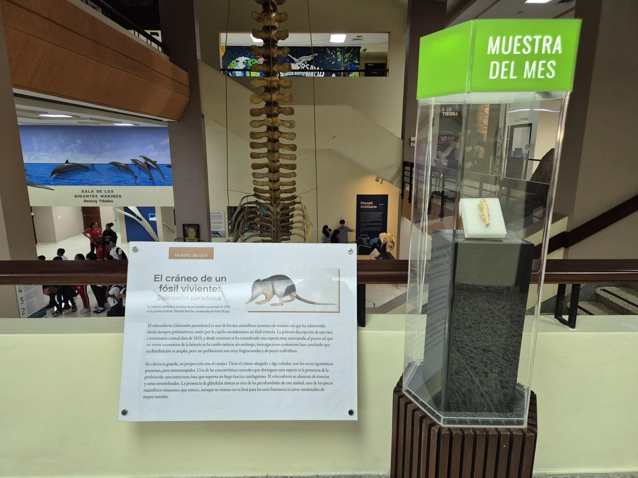 1280?signature=KBNoHMgUK6vfyaIajYqss8v8IObbKY2LR_eDRbY0UEgf3uflEjaiLAi-jRUkN9X8b6cky70x-Nd7GgExplU2GPv6HB7uNuMv_pda7KKMxZiNgabZN6tbuOQvJsl3Qn9cAwtn9gRQEt6uxuH0iudenw&storageType=file