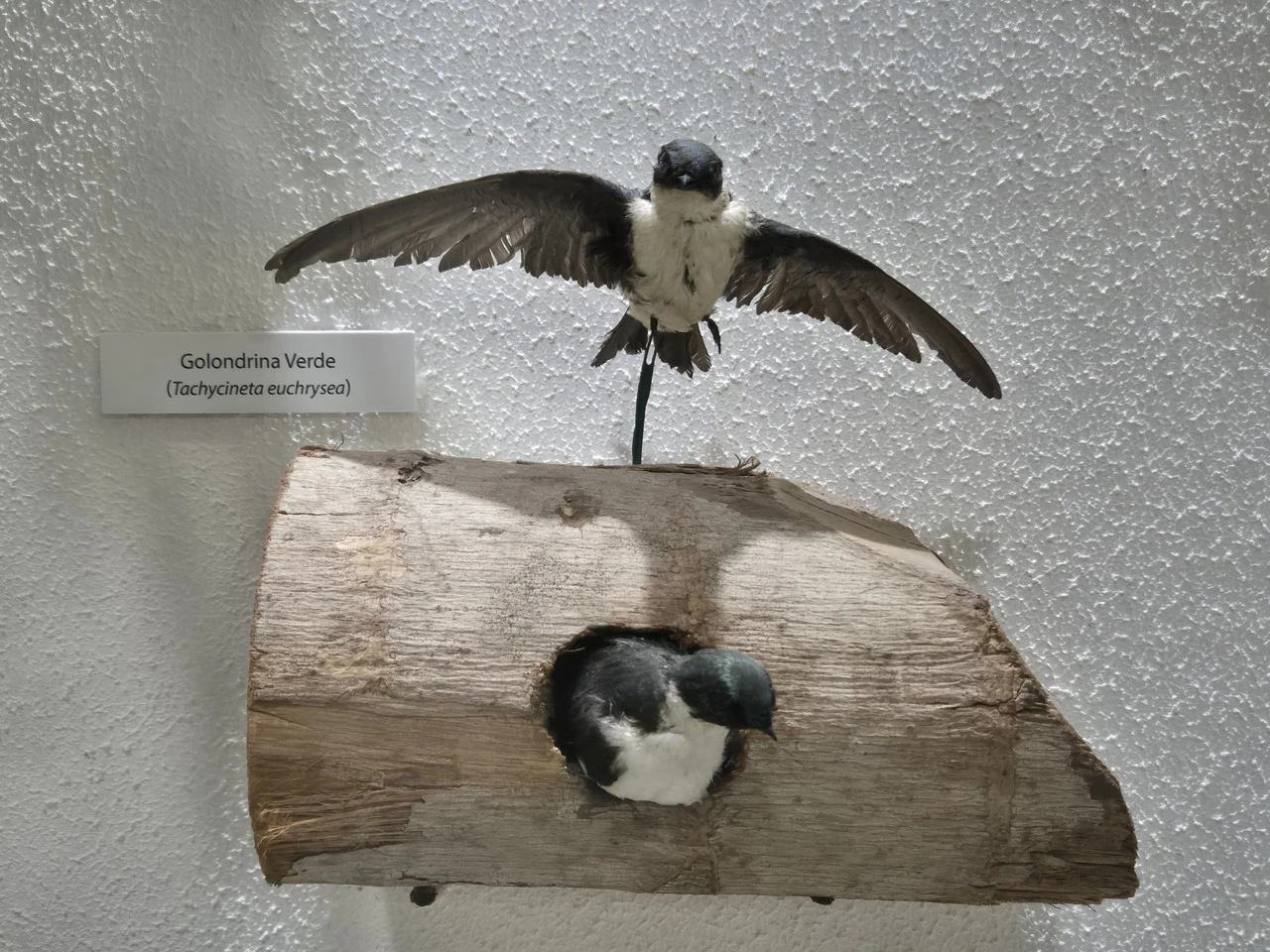 1280?signature=KBNoHMgUK6vfyaIajYqss8v8IObbKY2LR_eDRbY0UEgf3uflEjaiLAi-jRUkN9X8b6cky70x-Nd7GgExplU2GPv6HB7uNuMv_pda7KKMxZiNgabZN6tbuOQvJsl3Qn9cAwtn9gRQEt6uxuH0iudenw&storageType=file