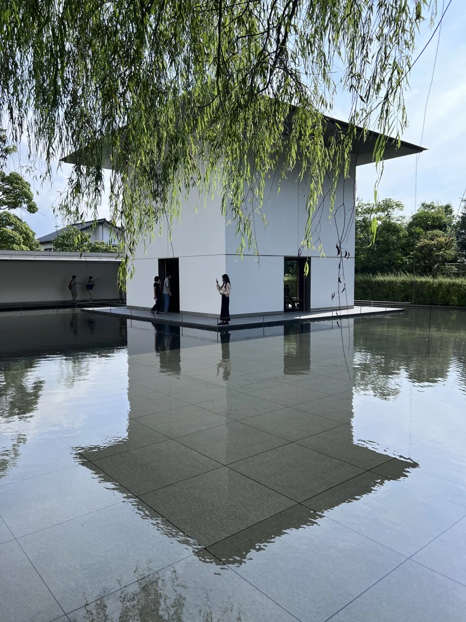 P20220913_141949206_3F722308-B4A1-4E99-BE55-1303291CA65D.jpg?type=w1