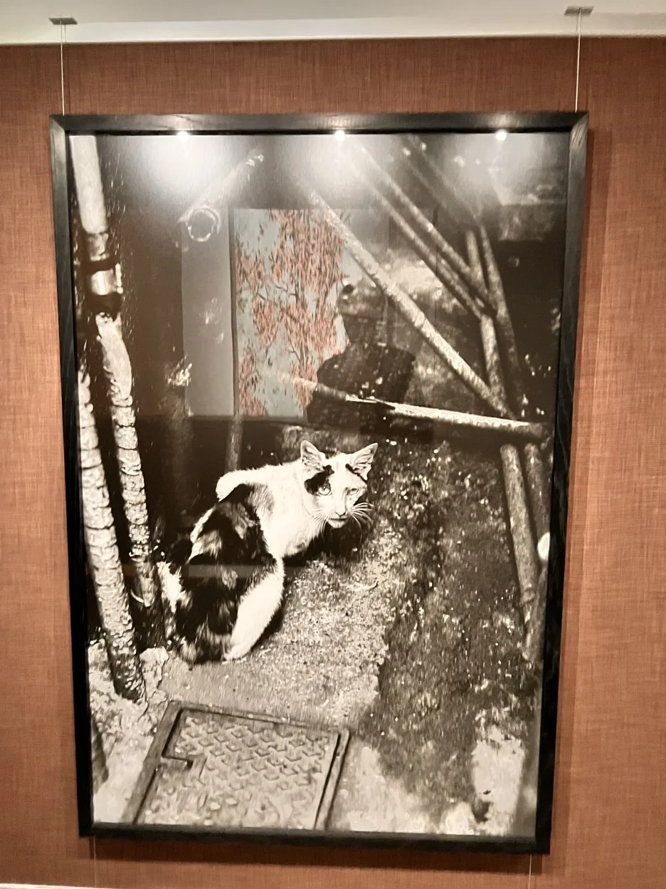 IMG_2781.jpeg?type=w1