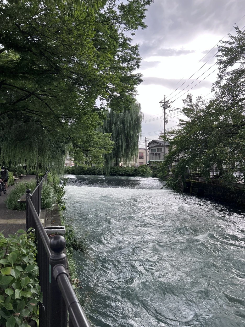 P20220901_170235578_61505339-363E-4541-A53A-DEB1EB71A0AA.jpg?type=w1