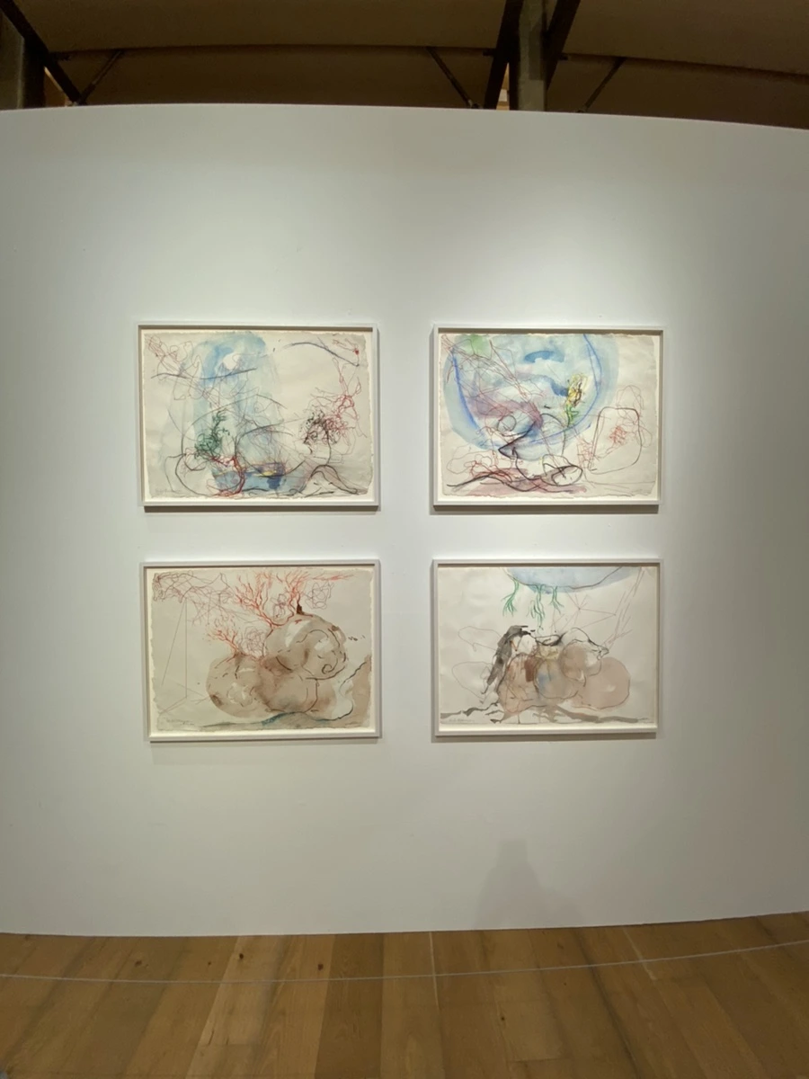 IMG_2451.jpg?type=w1