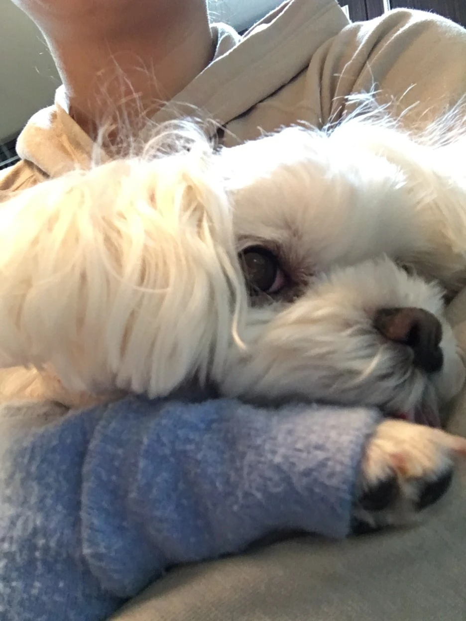 IMG_2547.JPG?type=w1