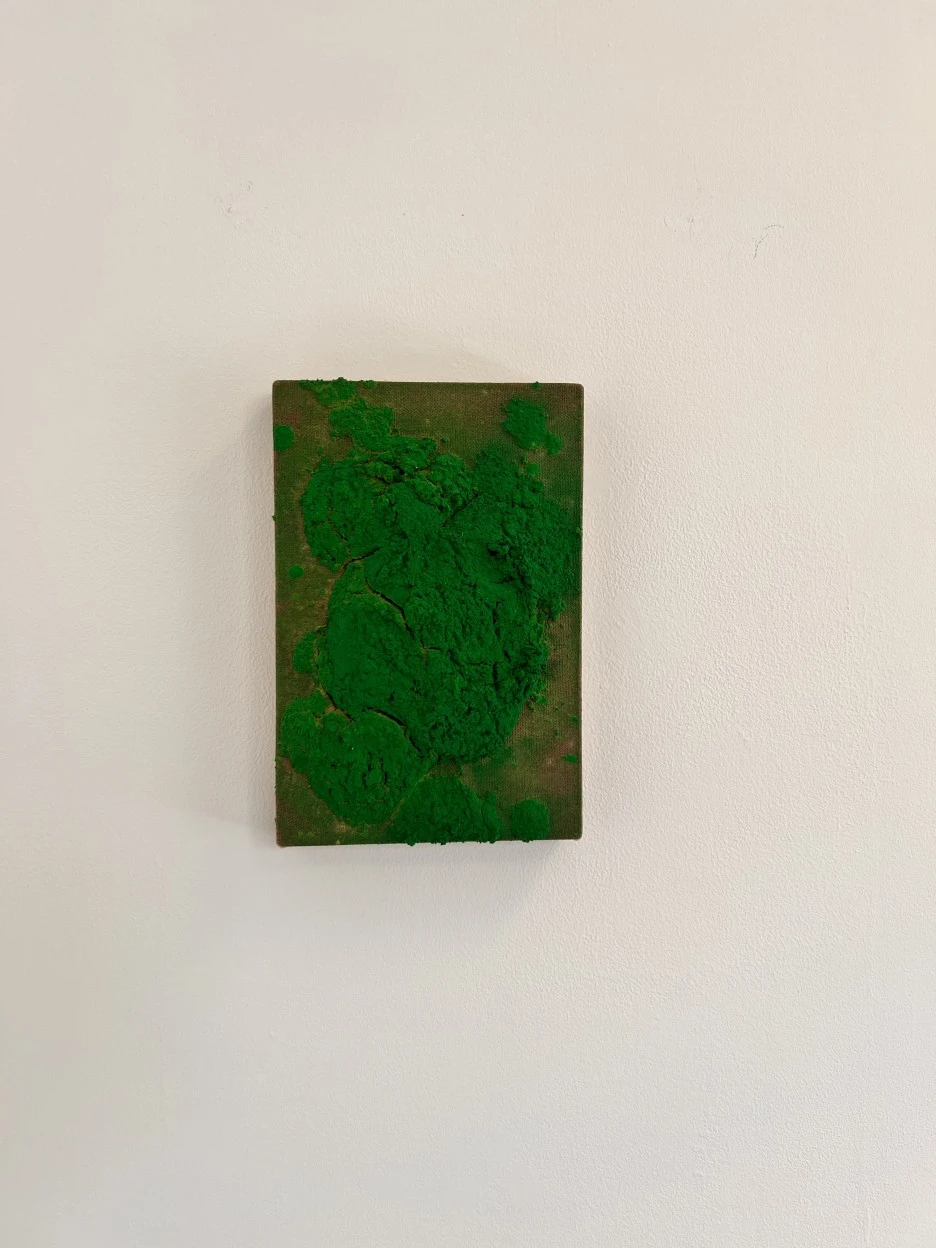 P20231031_112736574_3A578396-6FE8-4403-9C7E-7F22F6DB6D86.jpg?type=w1