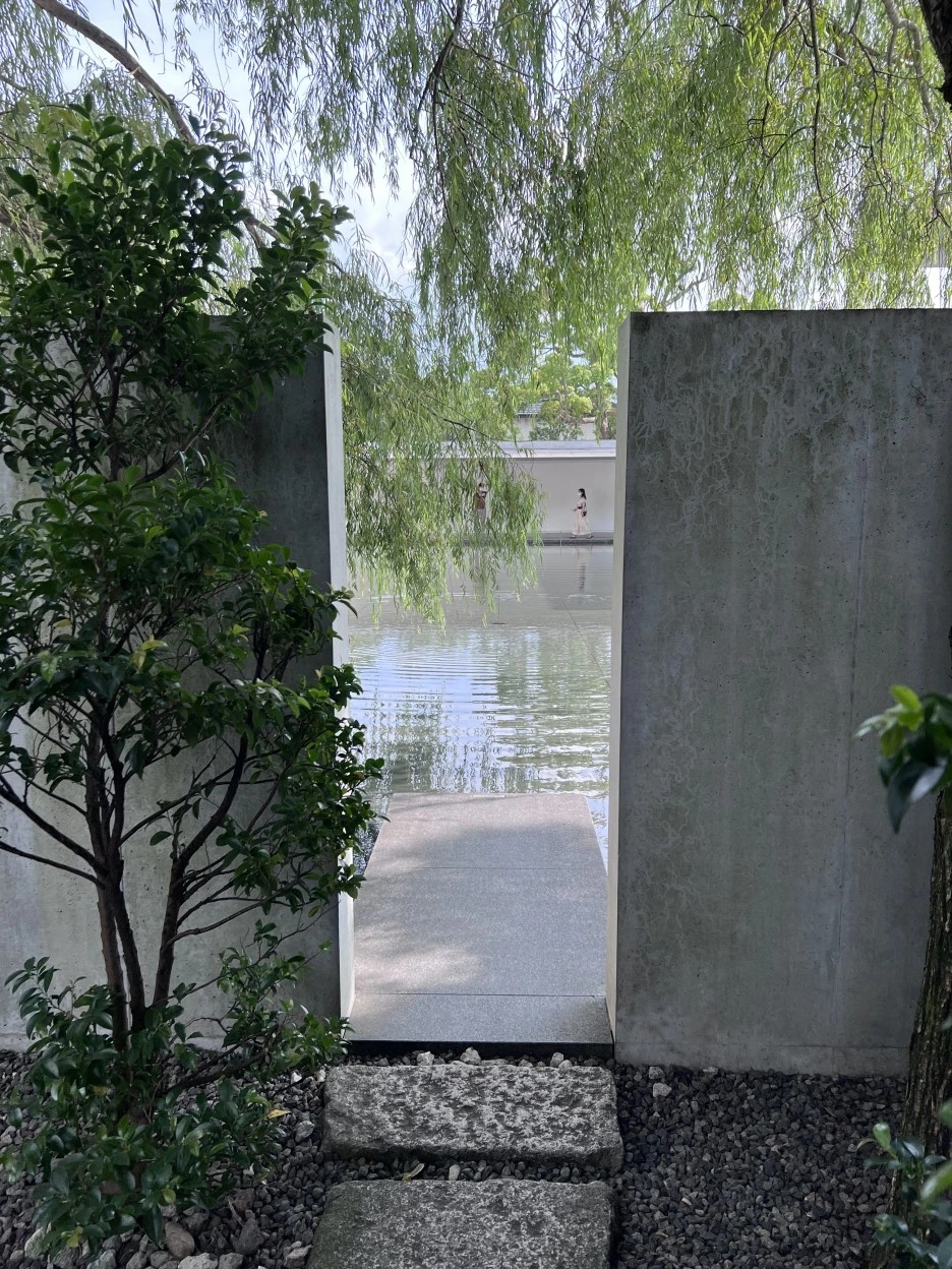 P20220913_141921205_290635BC-9A13-4650-A193-C7F05D2D19DD.jpg?type=w1