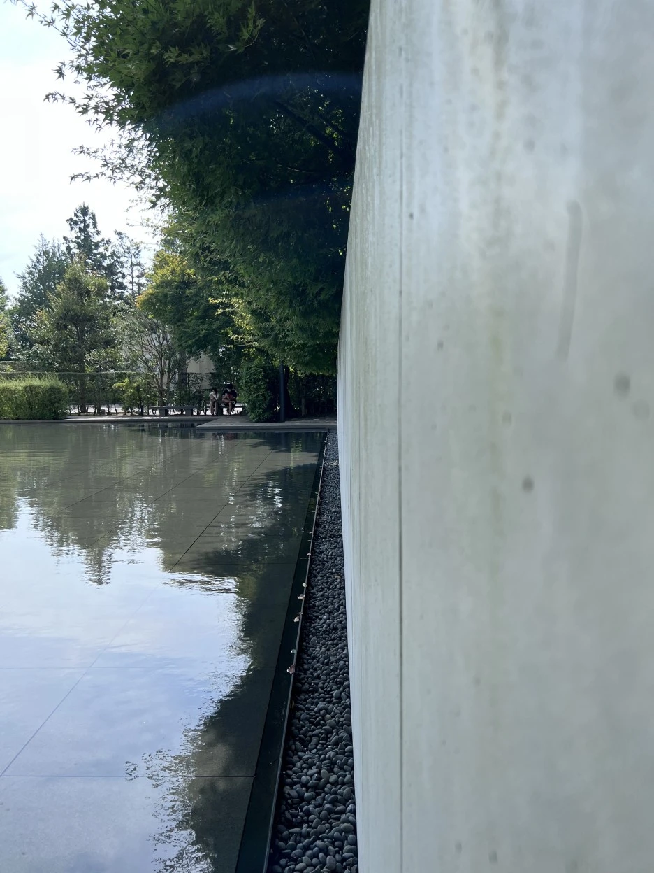 P20220913_142000374_0CEB55C6-FAA1-4EB9-8933-03B6CEB7EF3F.jpg?type=w1