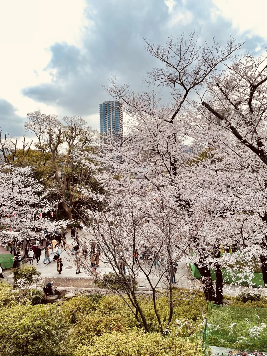 IMG_7389.JPEG?type=w1