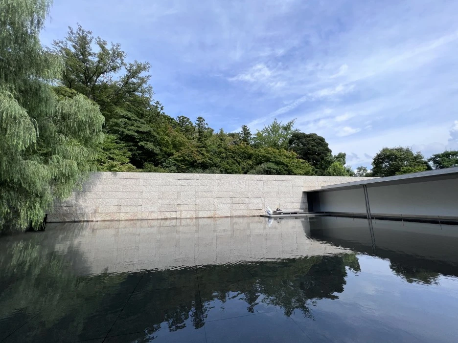 P20220913_135811310_21D8CA4E-0397-4874-8A13-E15374FD9A4D.jpg?type=w1