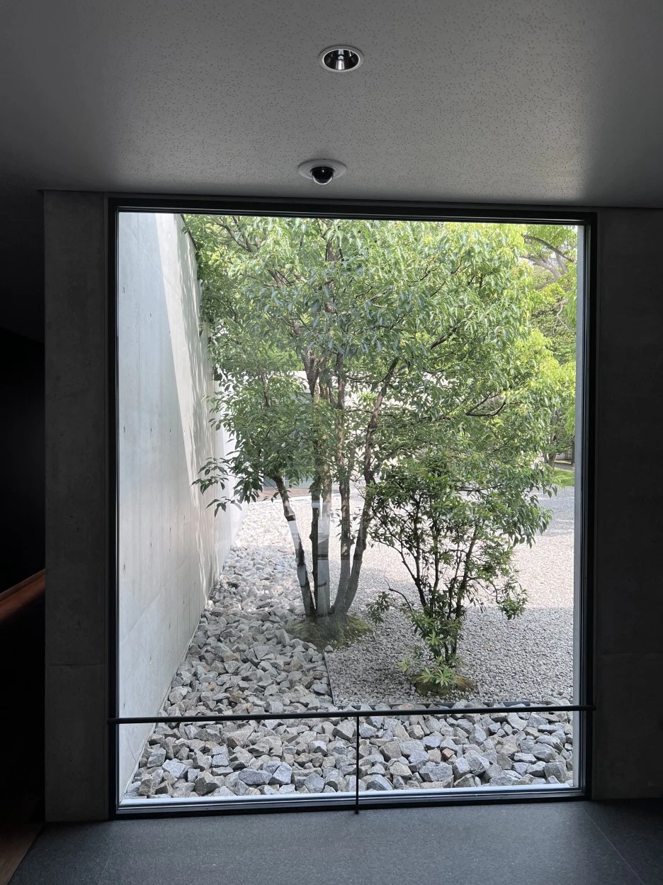 P20220913_134636030_8F38ED28-4C56-455F-A2D0-1CD22A0886BB.jpg?type=w1