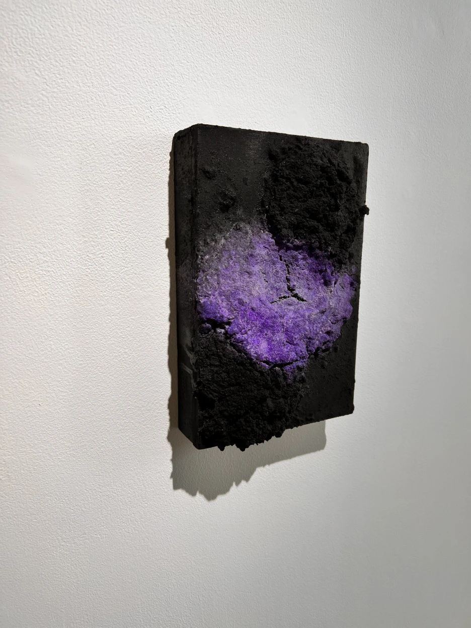 P20231031_112755491_BBBC2ACD-262F-4965-B10A-4234F4002E4A.jpg?type=w1