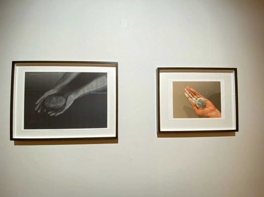 IMG_2437.jpg?type=w1