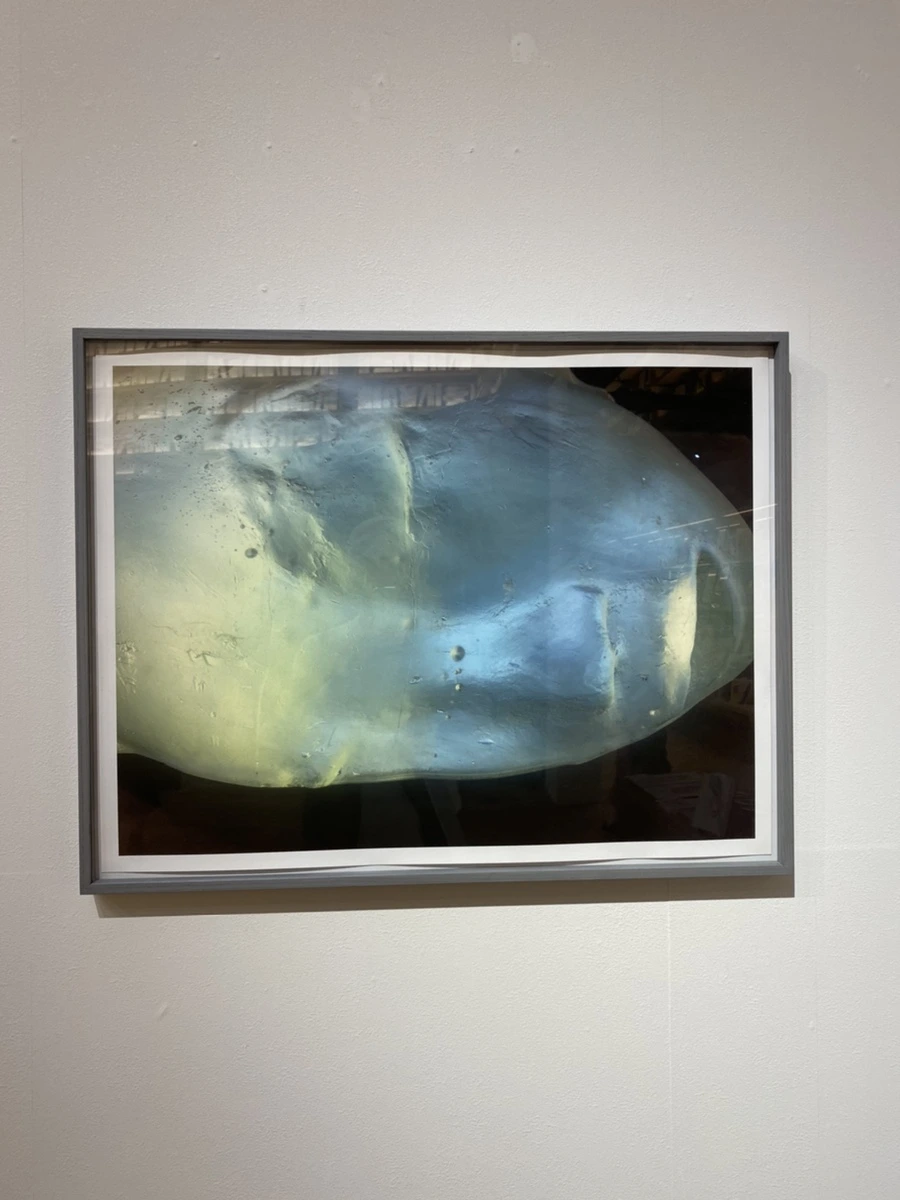 IMG_2447.jpg?type=w1