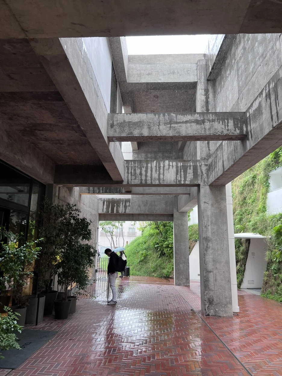 P20220902_090455382_5241FC53-8835-429E-98D9-83E3363C398C.jpg?type=w1