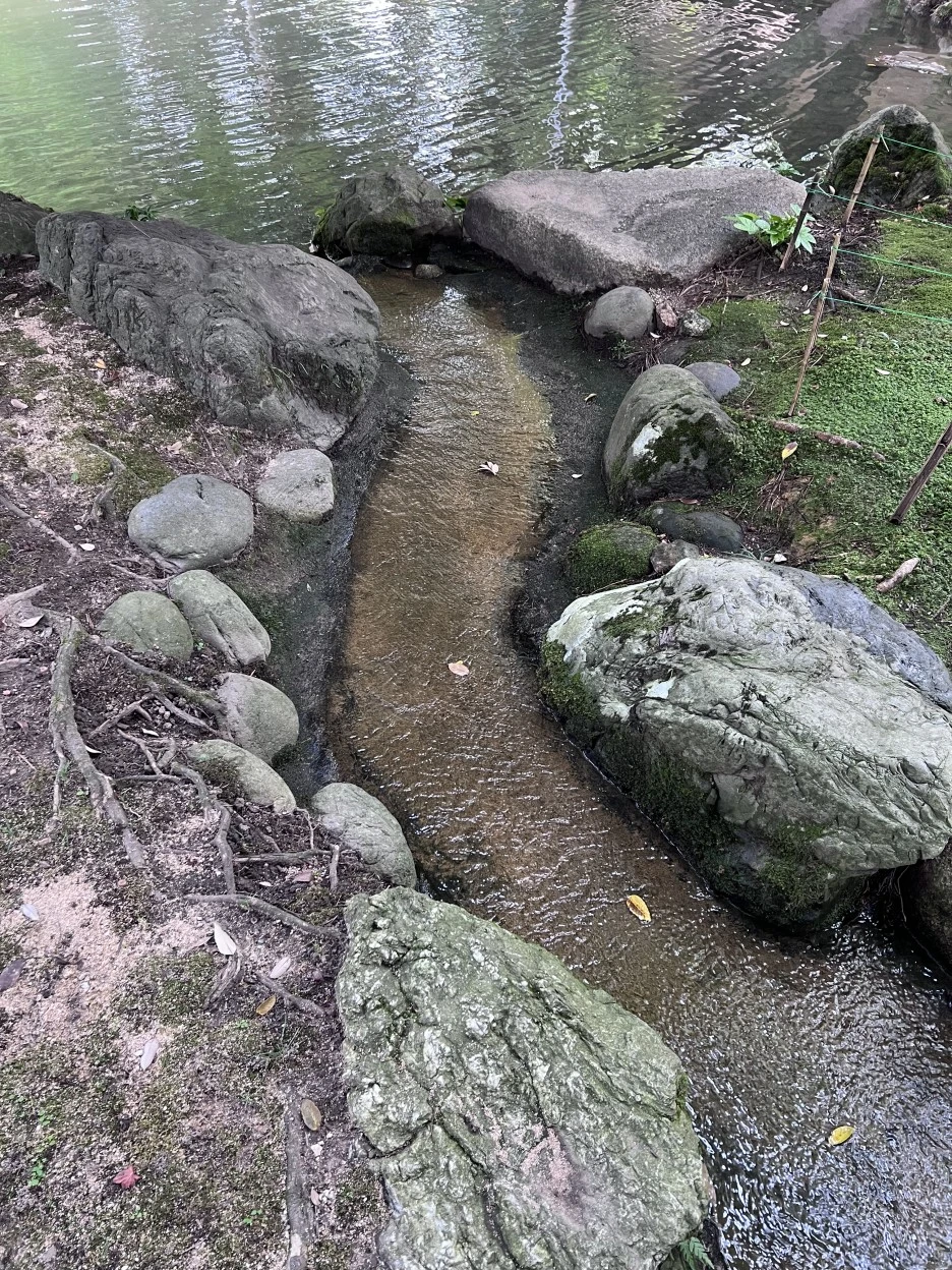 P20220913_141223859_5134C7A3-BBDE-40BC-9185-7DC84B586B2B.jpg?type=w1