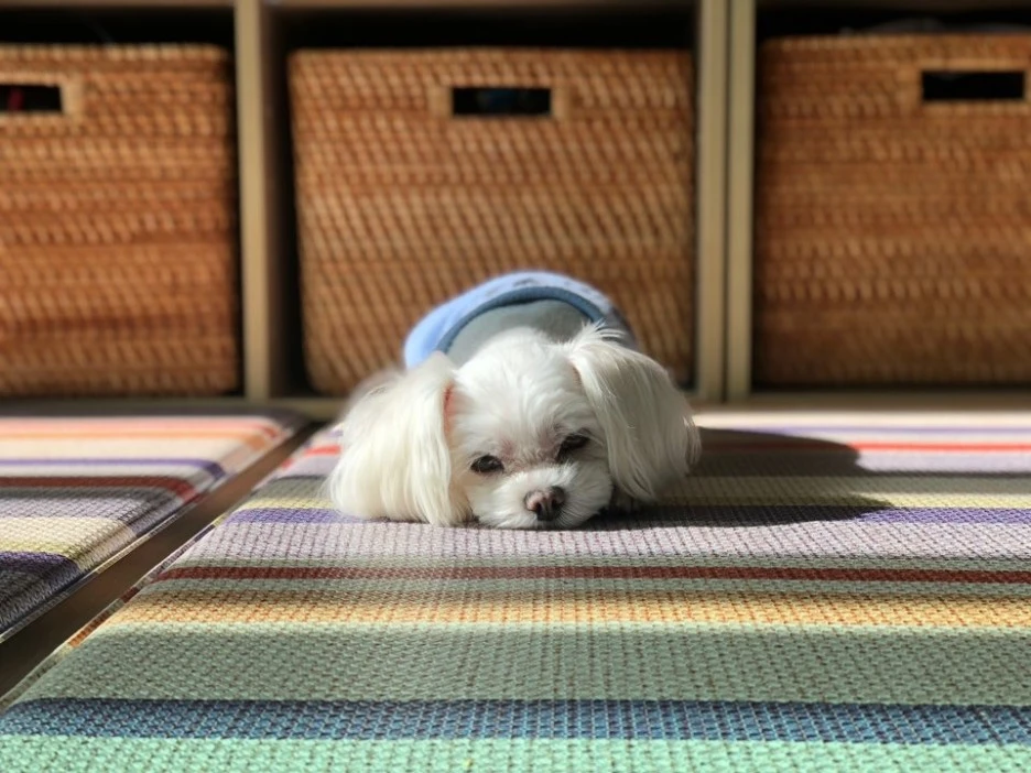 IMG_0629.JPG?type=w1