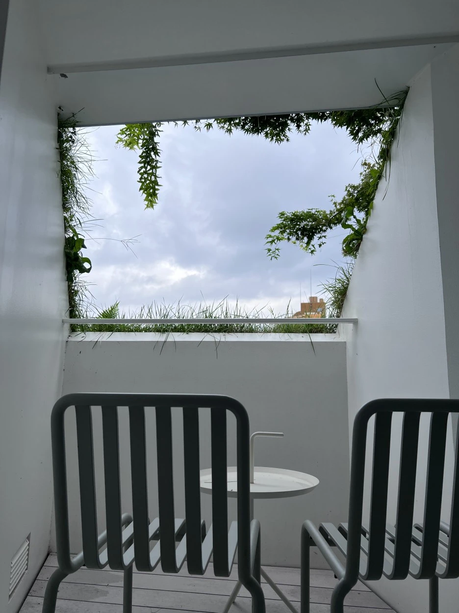 P20220902_074850081_2E1B294B-8AC8-4CBF-AC78-0508EA23ED59.jpg?type=w1