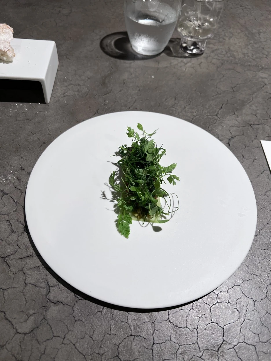 P20220901_192729593_70426434-F623-4730-8C1D-E903025EFC12.jpg?type=w1