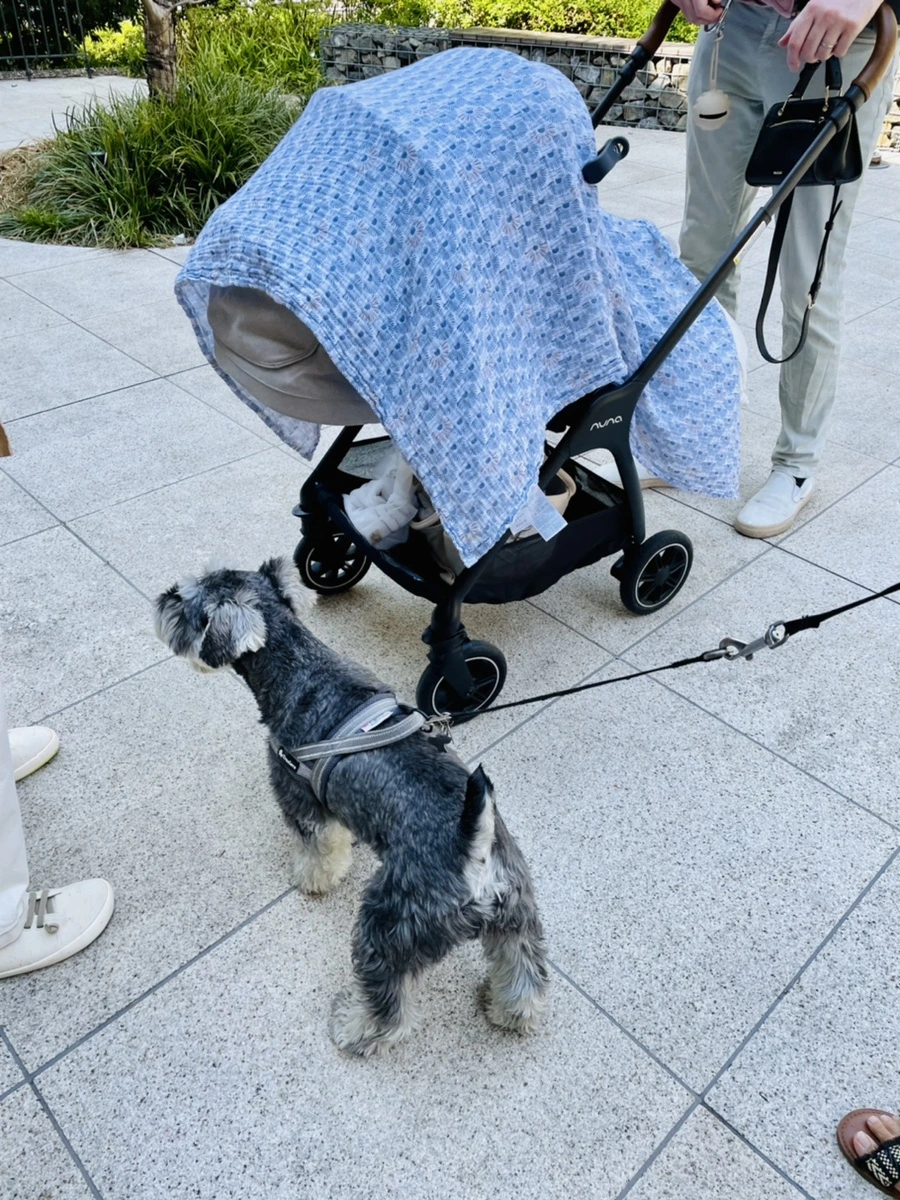 IMG_7462.jpg?type=w1