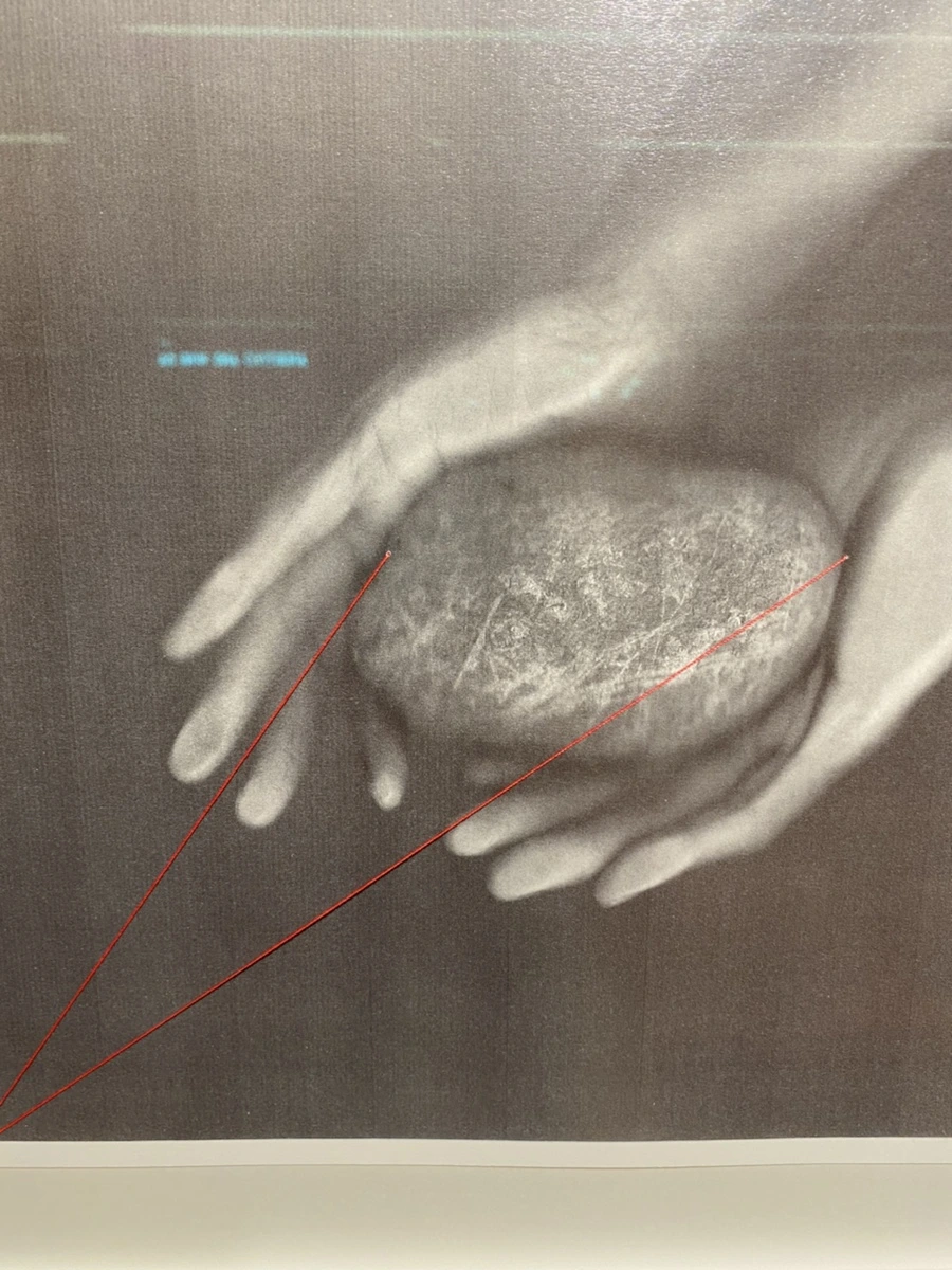 IMG_2439.jpg?type=w1