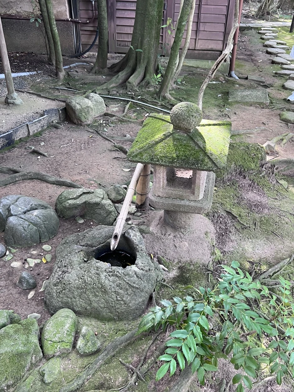 P20220913_140834133_F24583E4-15D7-4843-85D4-08BC25B35391.jpg?type=w1