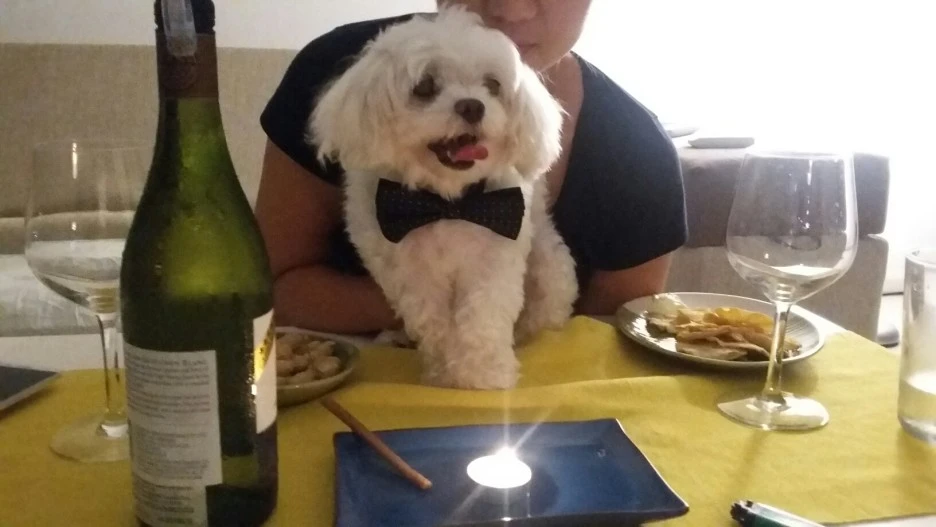 676355167382284_20220611194020833.JPG?type=w1