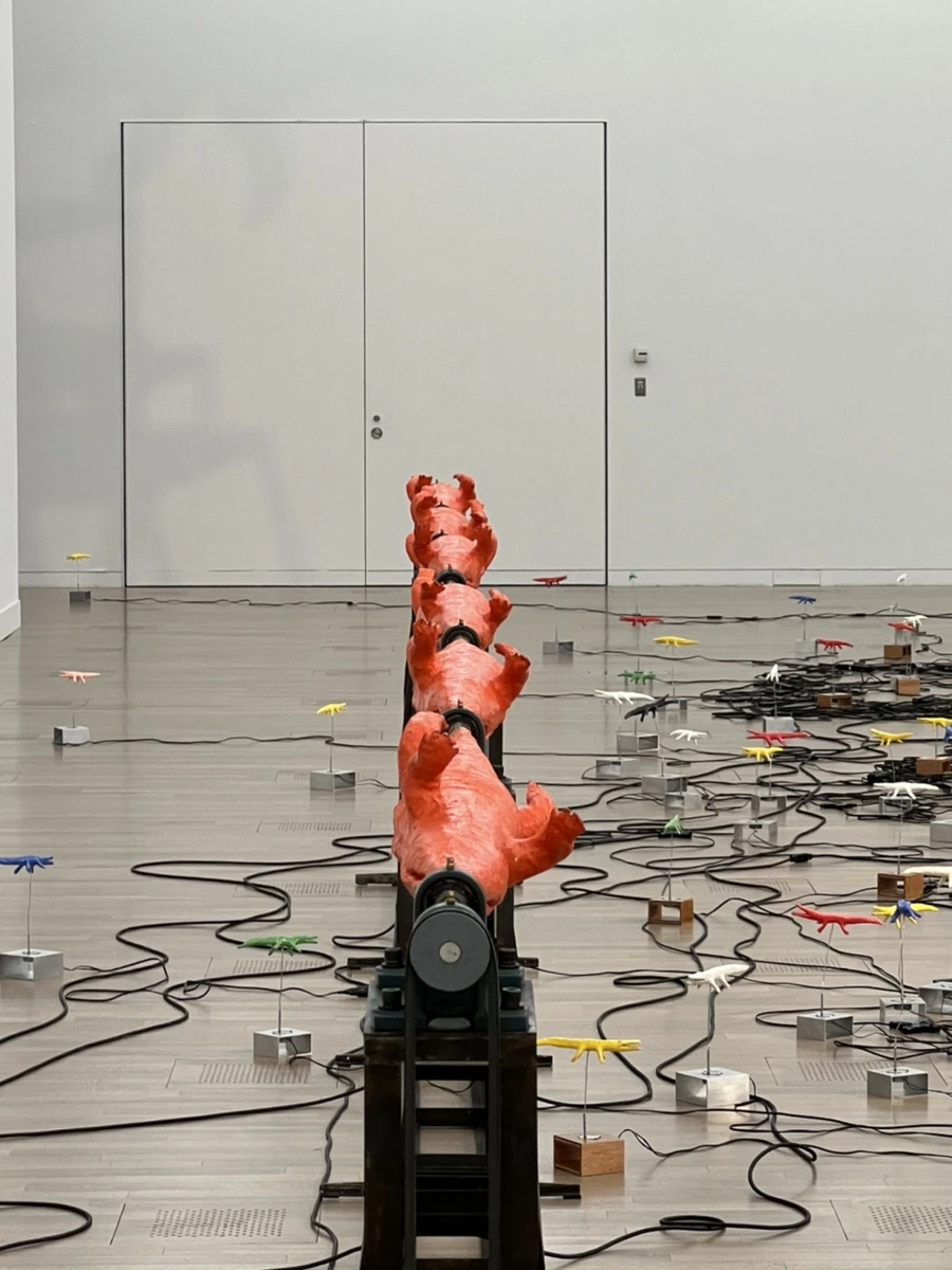 IMG_4375.jpg?type=w1