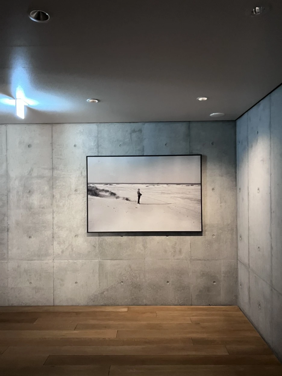 P20220913_134825560_B0F56882-4D56-4225-967A-5349DFA39932.jpg?type=w1