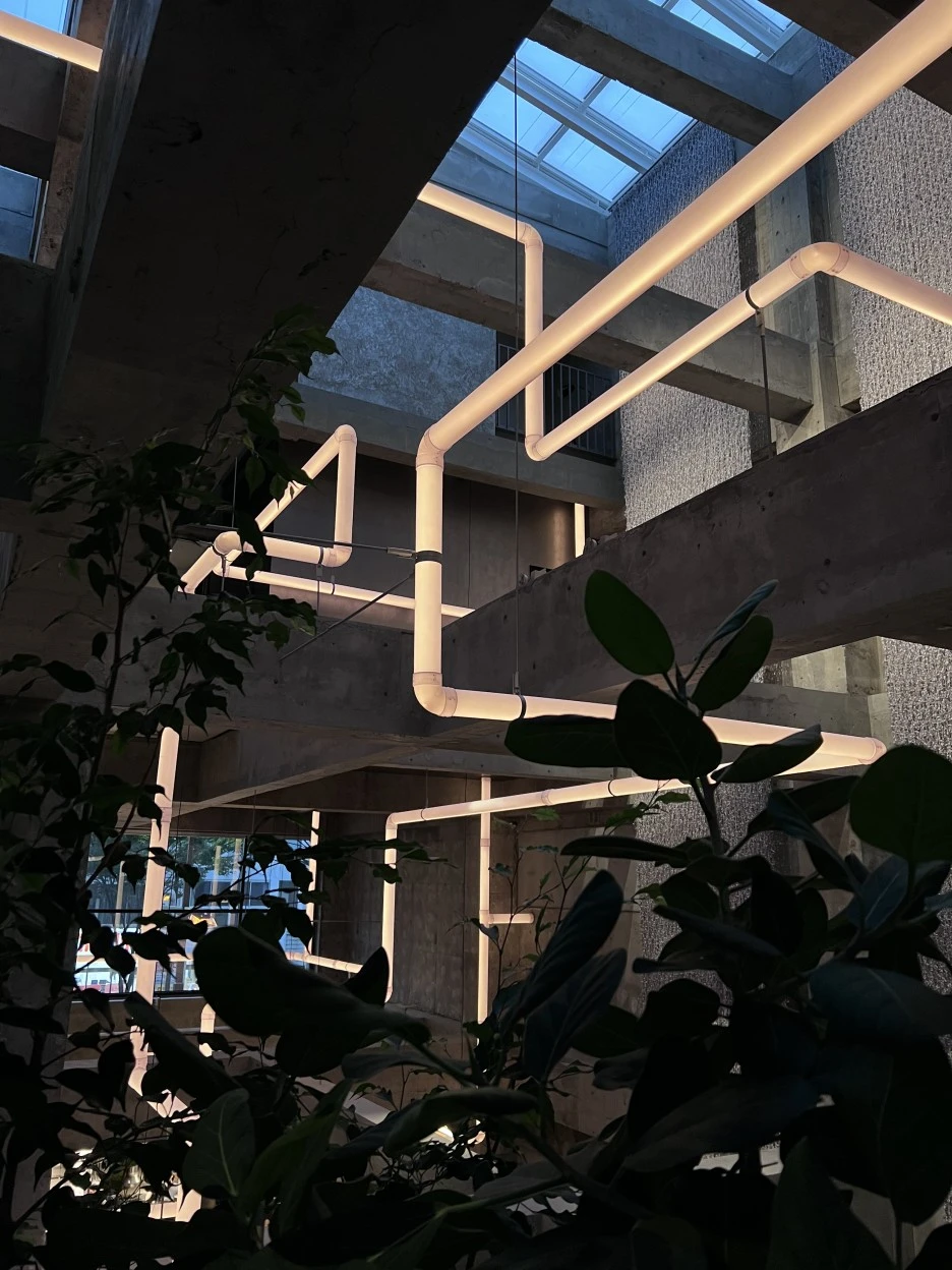 P20220901_175332872_6F175028-80E9-444B-B518-553A2A1E713B.jpg?type=w1