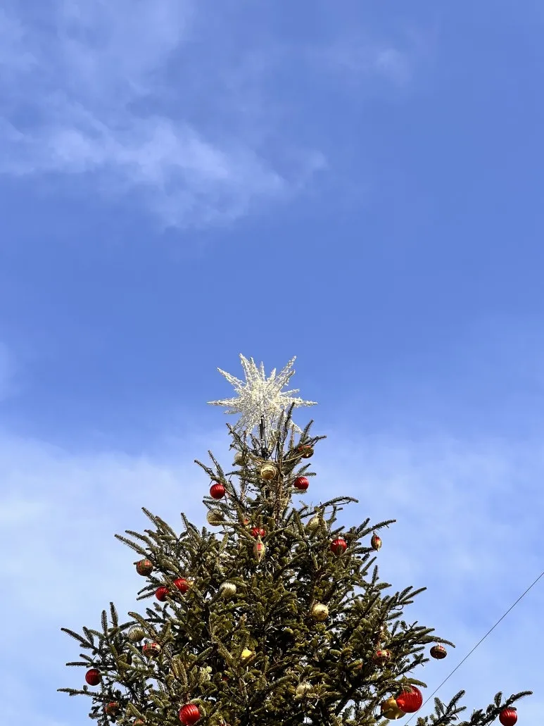 5ACAB53D-A648-43B4-B359-D460EEC01E35.jpg?type=w773