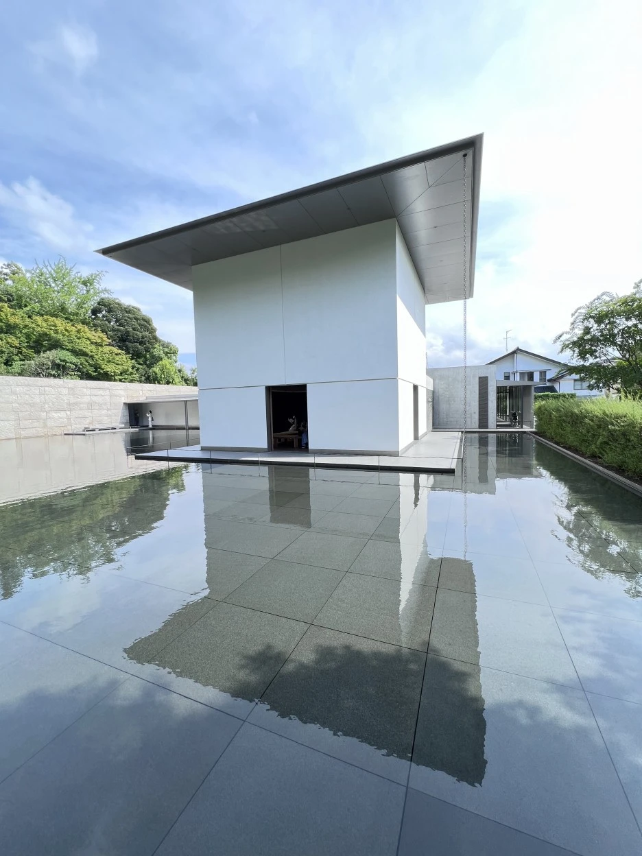 P20220913_140607818_0B9F6E92-8430-4615-81A5-32C6CD1D9942.jpg?type=w1