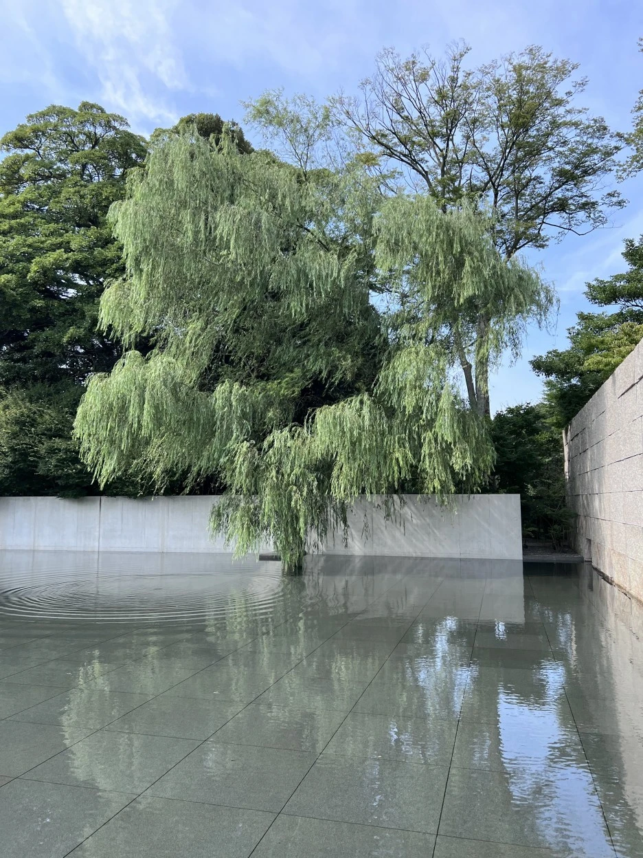 P20220913_135253084_A2B7FC1B-6210-43C7-BF80-3671A79BECD9.jpg?type=w1