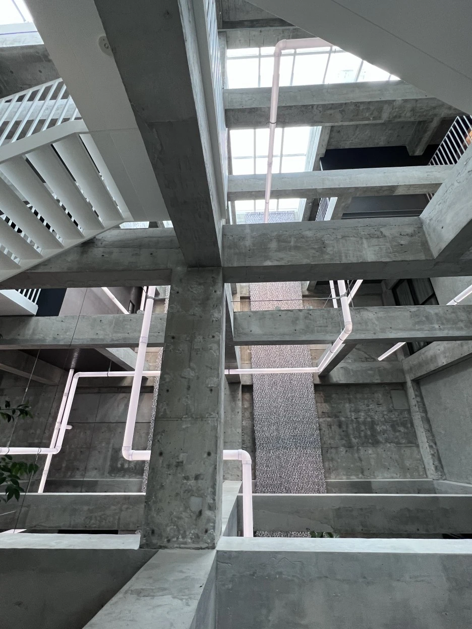 P20220902_090010157_D1DC065A-B4E4-4D83-985A-04745A371545.jpg?type=w1