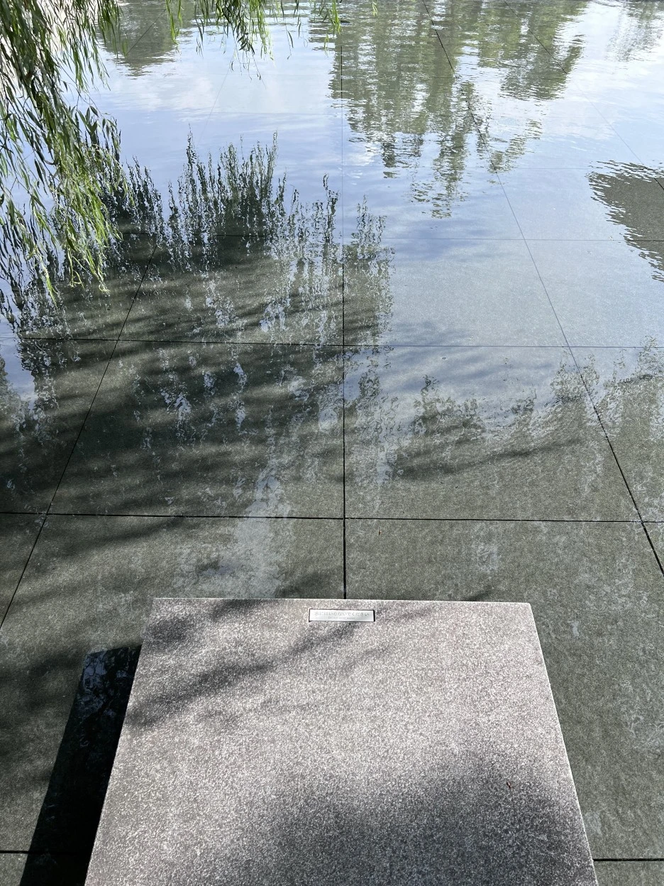 P20220913_141943905_DB018E1F-5233-43C3-AA7B-1D366ACAEBEC.jpg?type=w1