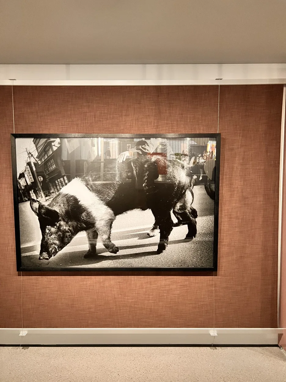 IMG_2779.jpeg?type=w1